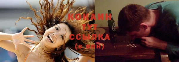 сатива Корсаков