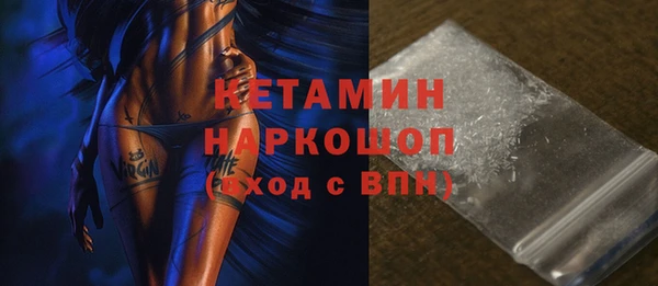сатива Корсаков