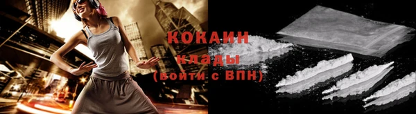 сатива Корсаков