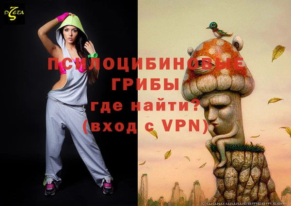 сатива Корсаков
