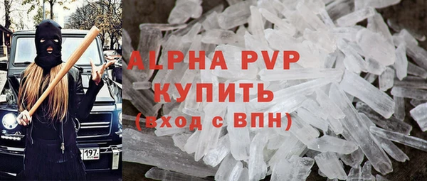 сатива Корсаков