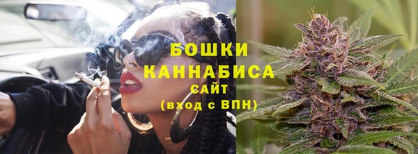 сатива Корсаков