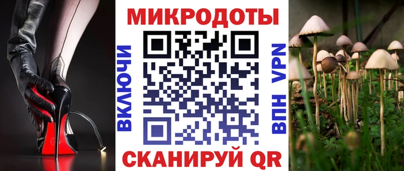 Купить закладки  Валуйки  Галлюциногенные грибы мицелий 