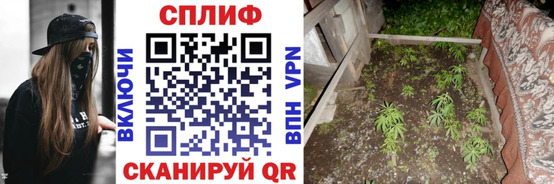 Каннабис гибрид  Купить  Валуйки 